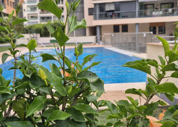 Apartamento A 2 Minutos De La Playa Benidorm